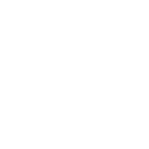 Black Cat Property Management