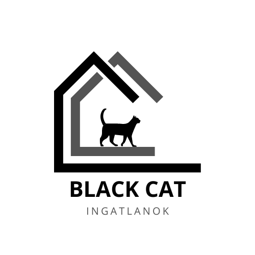 Black Cat Property Management